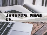 亚博官网-世界杯受伤离场，伤情尚未公布。