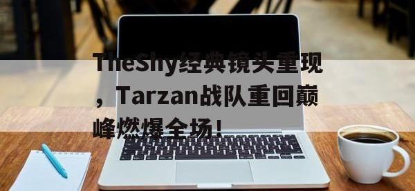 亚博-TheShy经典镜头重现，Tarzan战队重回巅峰燃爆全场！