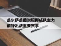 亚博官网-盖尔萨盖茵说服挪威队主力前锋出战重要赛事
