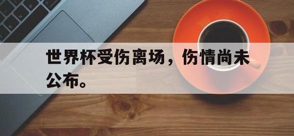 亚博官网-世界杯受伤离场，伤情尚未公布。