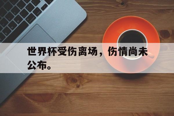 亚博官网-世界杯受伤离场，伤情尚未公布。