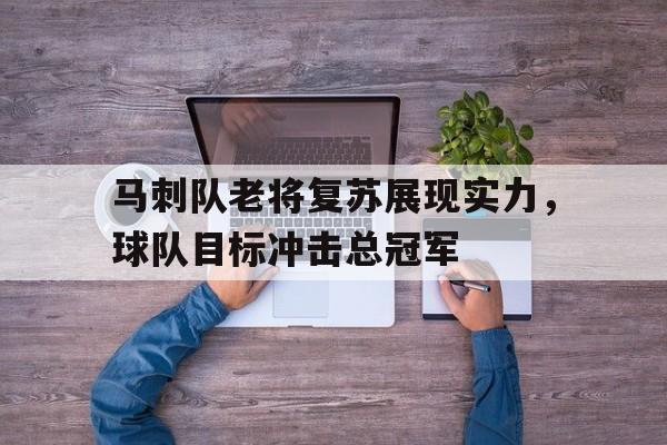 马刺队老将复苏展现实力，球队目标冲击总冠军