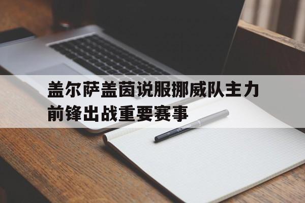 盖尔萨盖茵说服挪威队主力前锋出战重要赛事