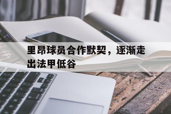 里昂球员合作默契，逐渐走出法甲低谷